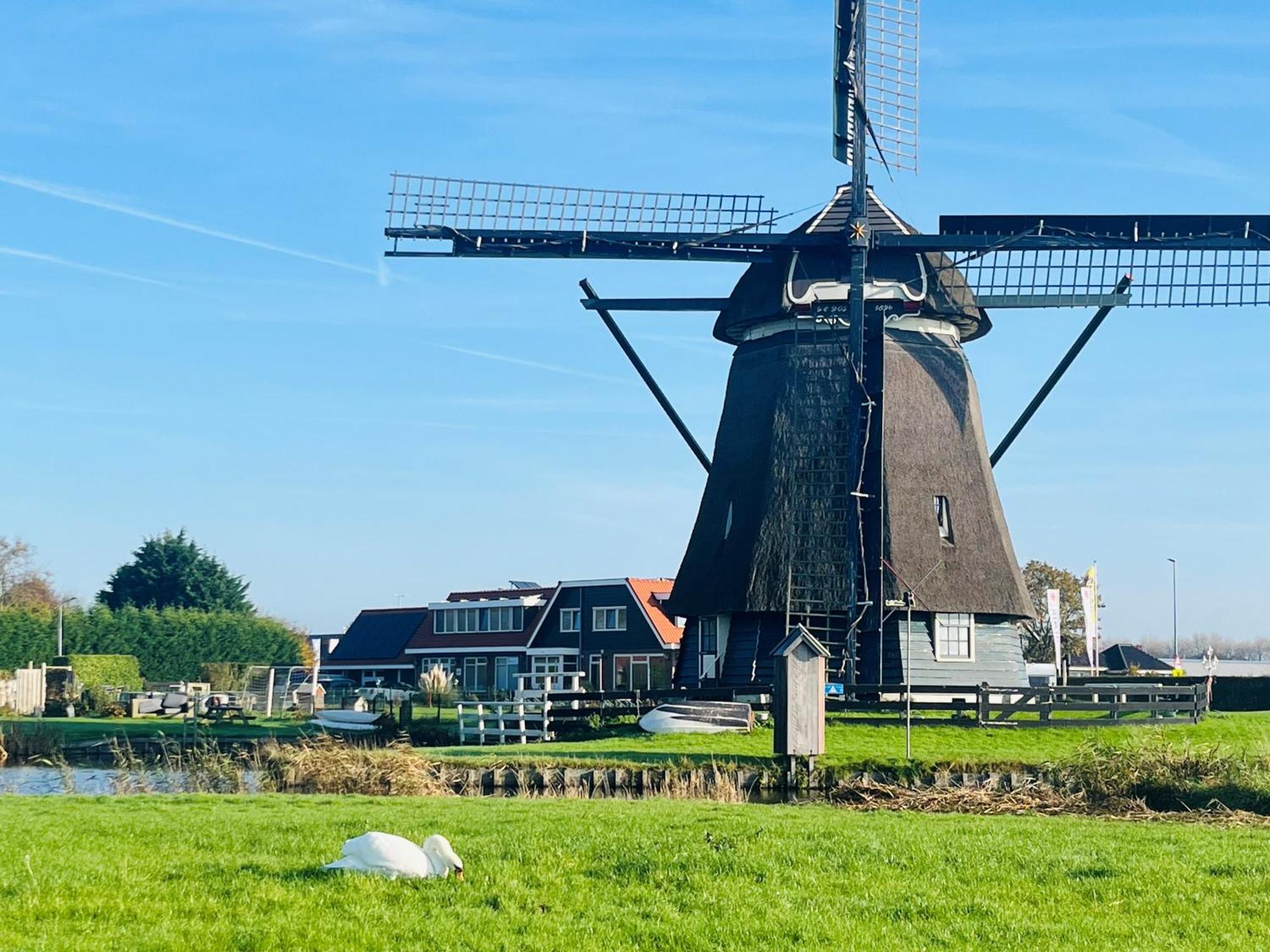 Bed and Breakfast Millsight Uitgeest Exteriér fotografie